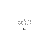 Ботфорты SALAMANDER 126-615A-2102 фото 1